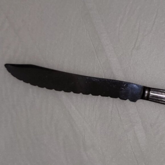 Vintage Wm. Rogers Stainless Steel Serrated Dinner Knife Rio Art Deco - Picture 1 of 5